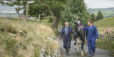 From dairy to data: Building smarter analytics